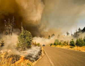 Wildfires on a mountain